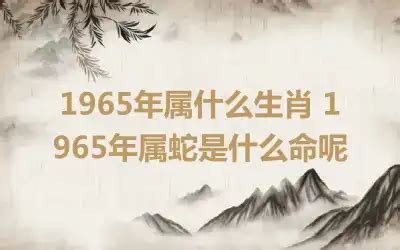 1965属相|1965年属什么生肖 1965年属什么的生肖